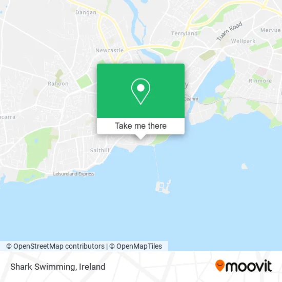 Shark Swimming map