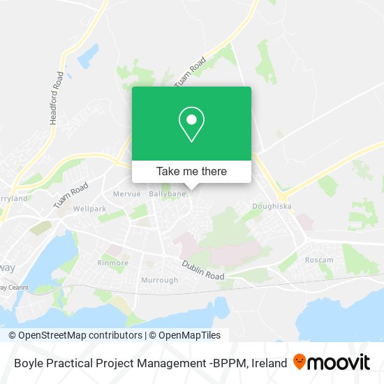 Boyle Practical Project Management -BPPM map