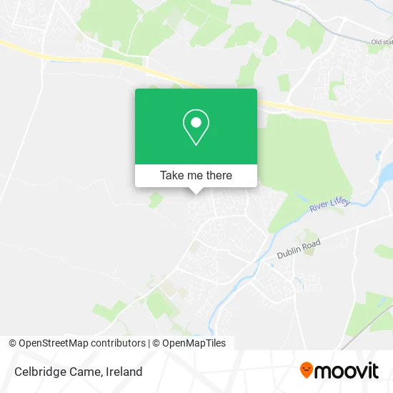 Celbridge Came map