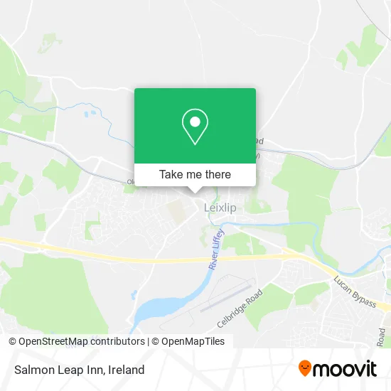 Salmon Leap Inn map