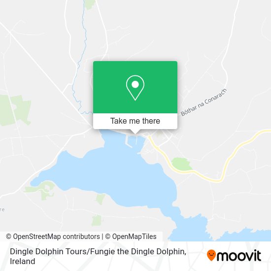 Dingle Dolphin Tours / Fungie the Dingle Dolphin map