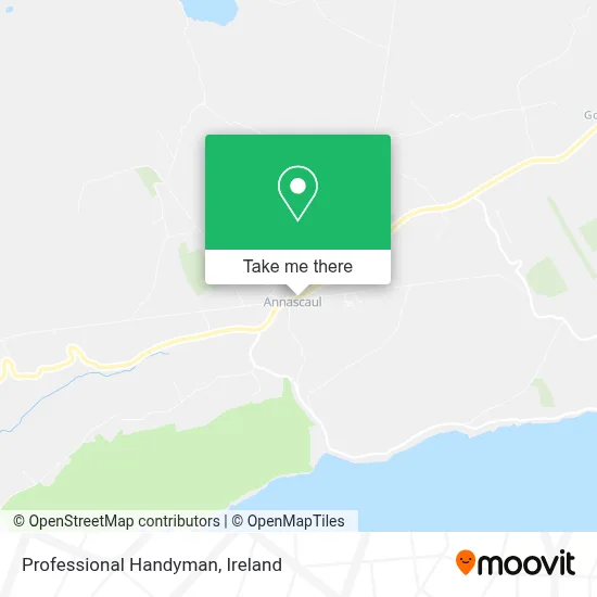 Professional Handyman map