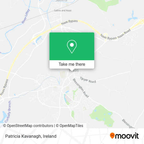 Patricia Kavanagh map