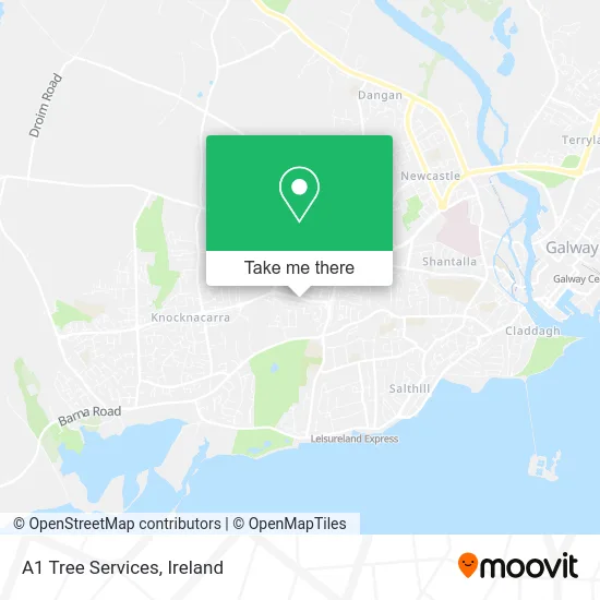 A1 Tree Services map