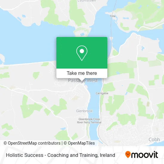 Holistic Success - Coaching and Training map