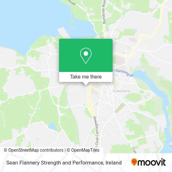Sean Flannery Strength and Performance map