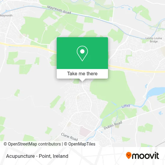 Acupuncture - Point map