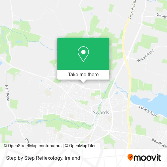 Step by Step Reflexology map