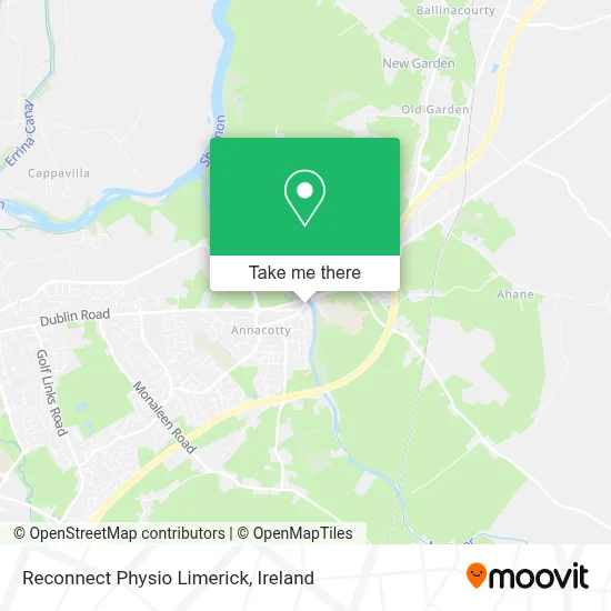Reconnect Physio Limerick map