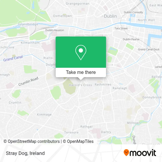 Stray Dog map