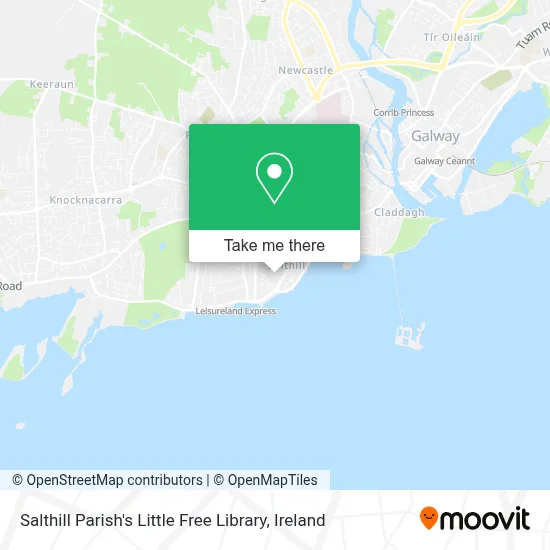 Salthill Parish's Little Free Library map