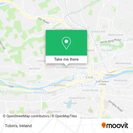Tobin's map