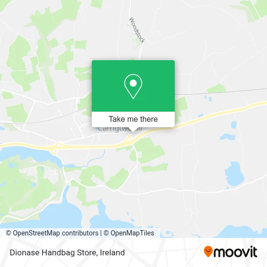 Dionase Handbag Store map