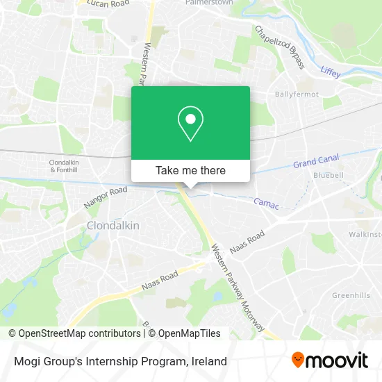 Mogi Group's Internship Program map