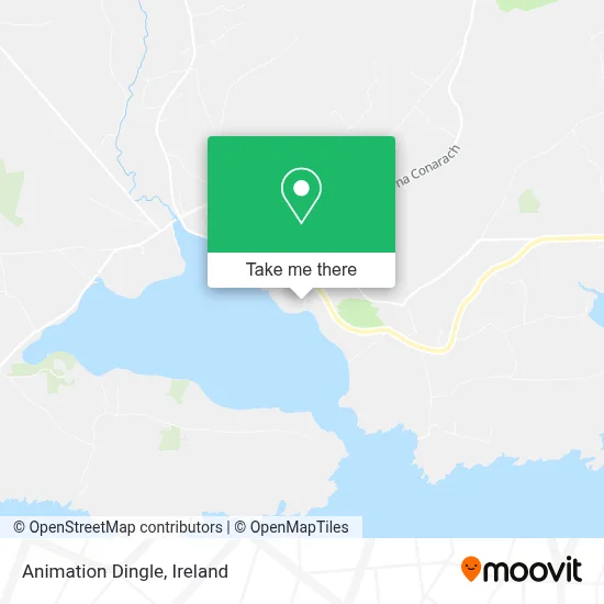 Animation Dingle map