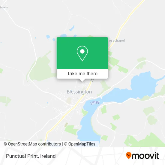 Punctual Print map
