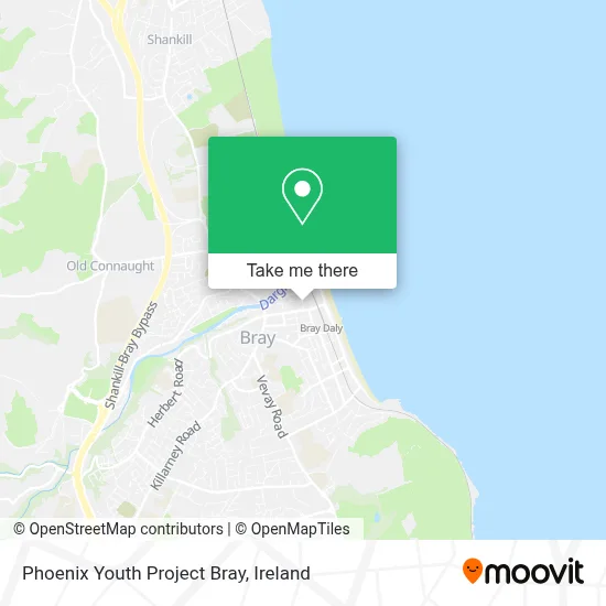Phoenix Youth Project Bray map
