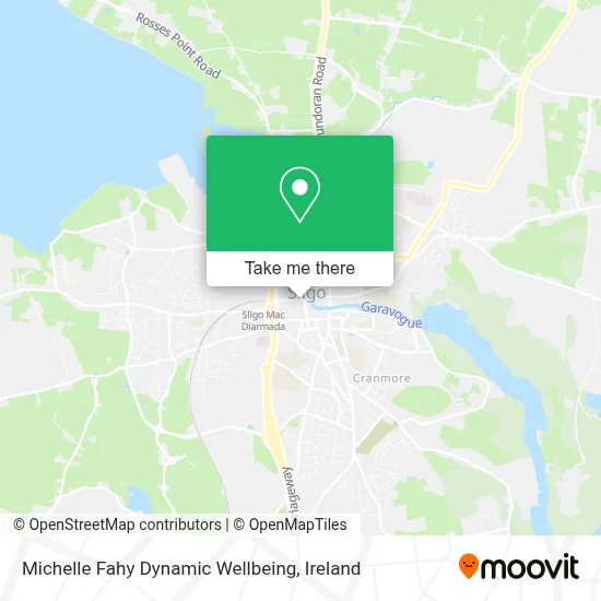 Michelle Fahy Dynamic Wellbeing map