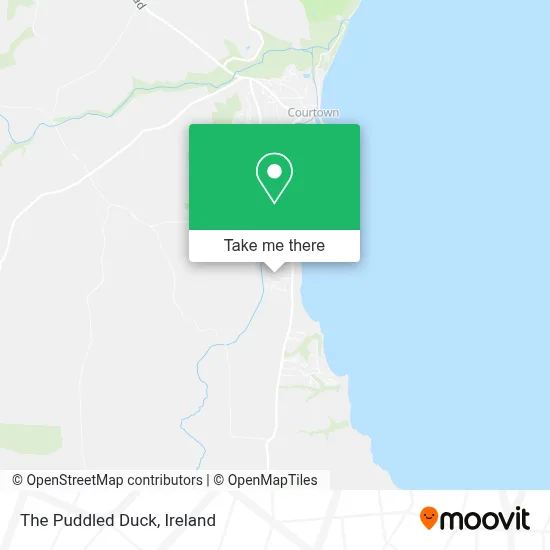 The Puddled Duck map