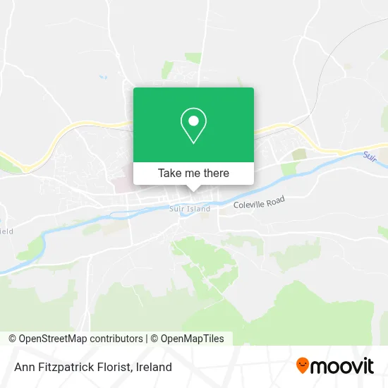 Ann Fitzpatrick Florist map