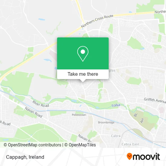 Cappagh map