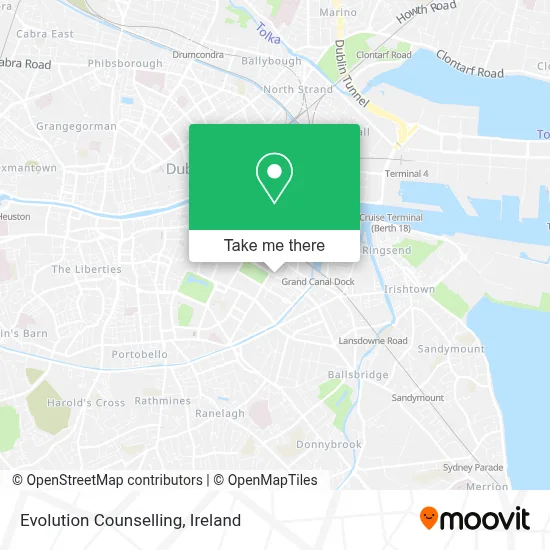 Evolution Counselling map