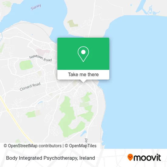 Body Integrated Psychotherapy map