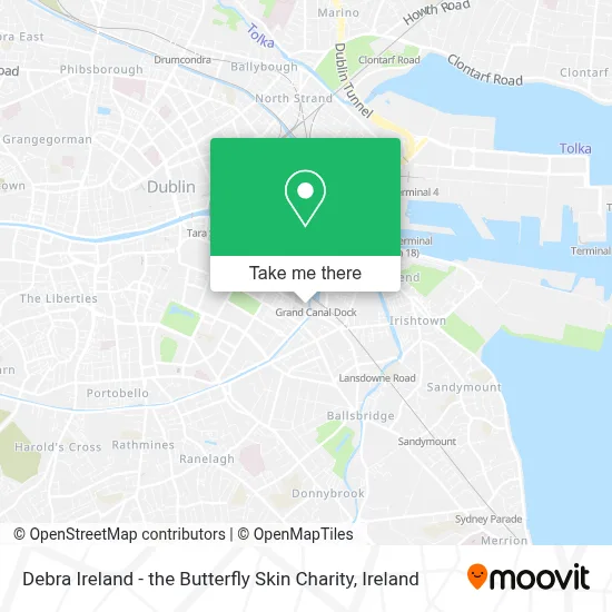 Debra Ireland - the Butterfly Skin Charity map