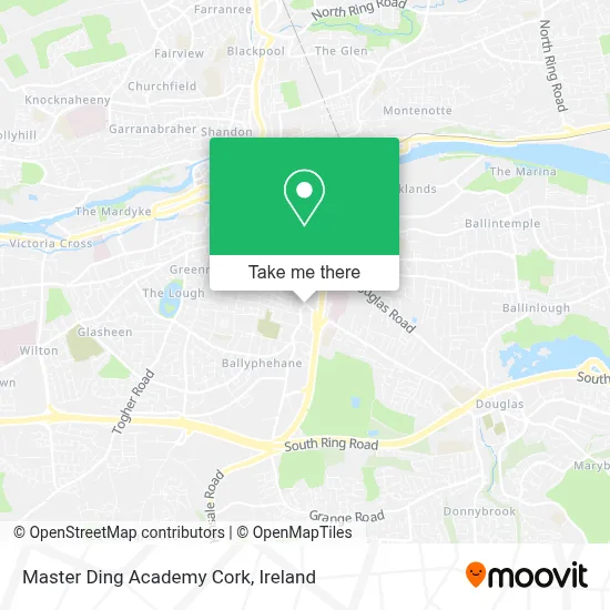 Master Ding Academy Cork map