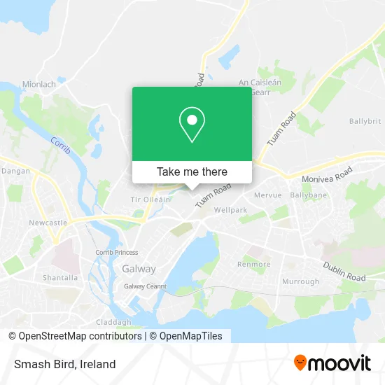 Smash Bird map