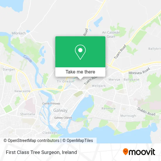 First Class Tree Surgeon map