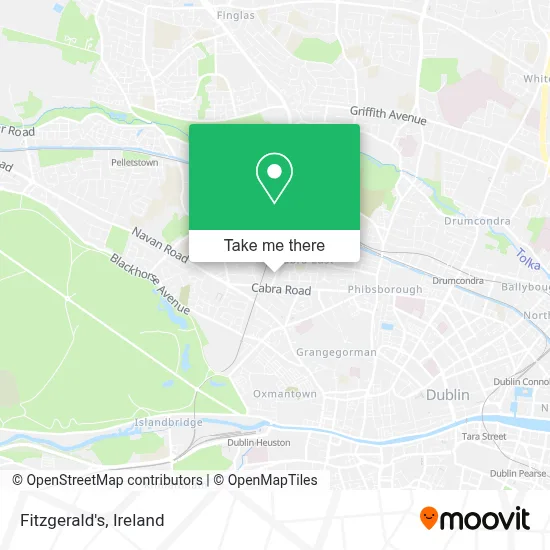 Fitzgerald's map