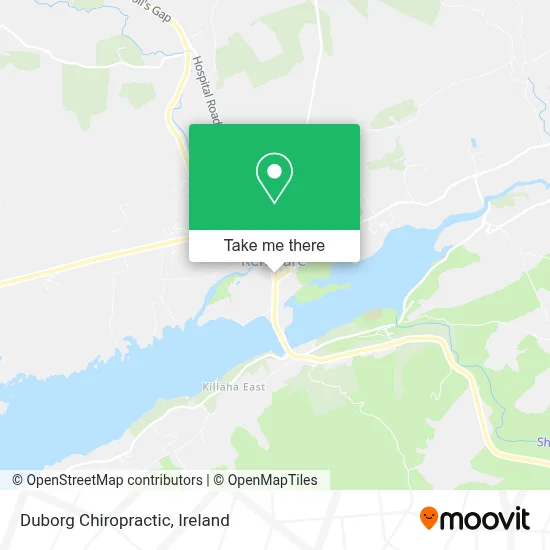 Duborg Chiropractic map