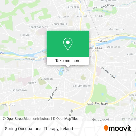 Spring Occupational Therapy map