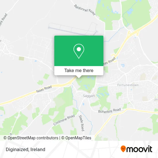 Diginaized map