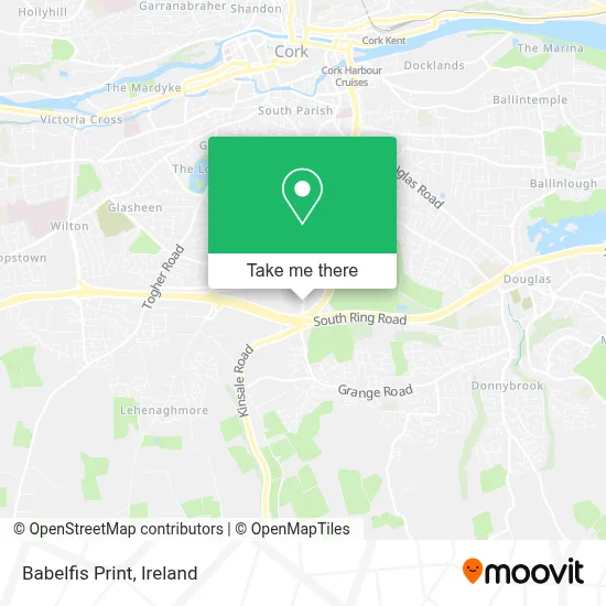 Babelfis Print map
