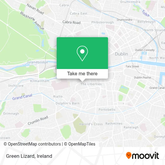 Green Lizard map
