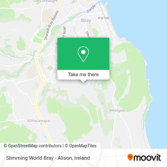 Slimming World Bray - Alison map