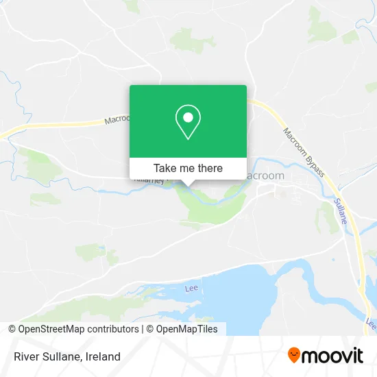 River Sullane map