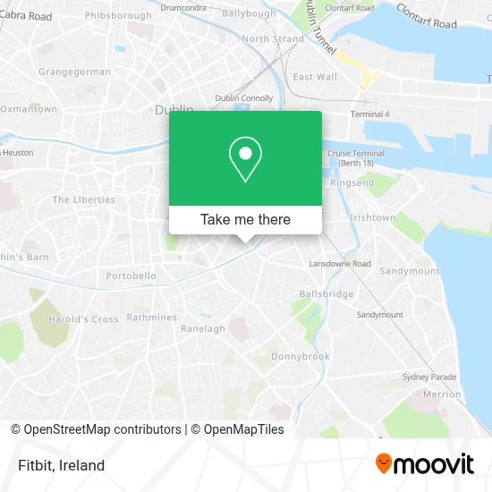 Fitbit map
