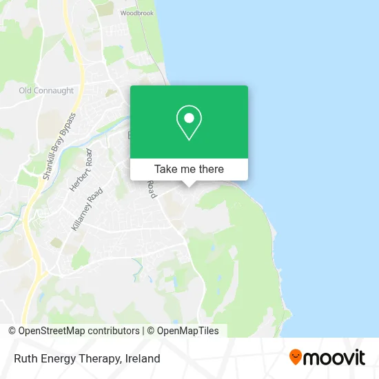 Ruth Energy Therapy map