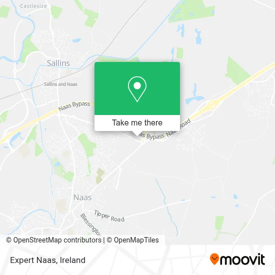 Expert Naas map