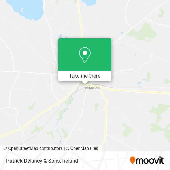 Patrick Delaney & Sons map
