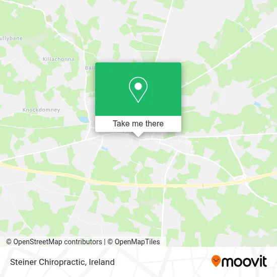 Steiner Chiropractic map