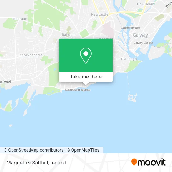 Magnetti's Salthill map