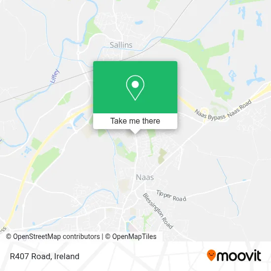 R407 Road map