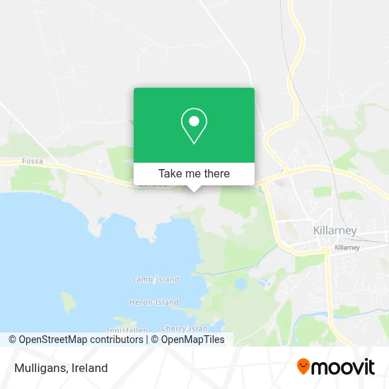 Mulligans map