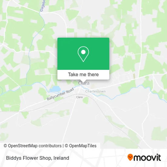 Biddys Flower Shop map
