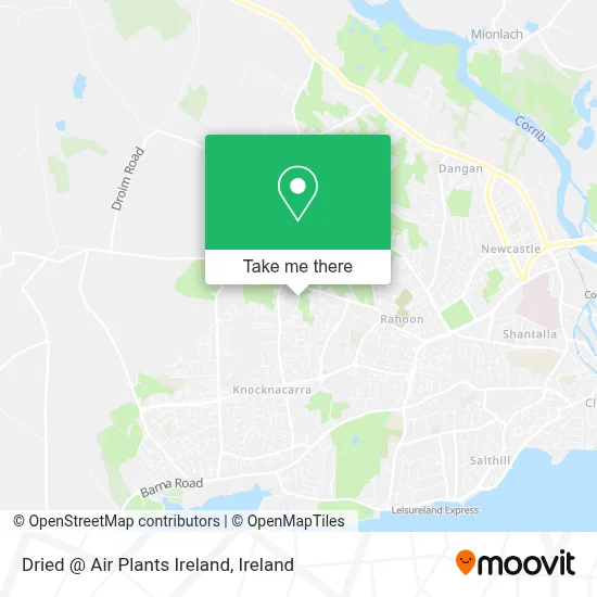 Dried @ Air Plants Ireland map