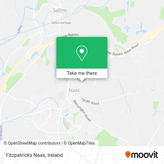 Fitzpatricks Naas map